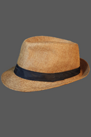 Exquisite Fedora Hat