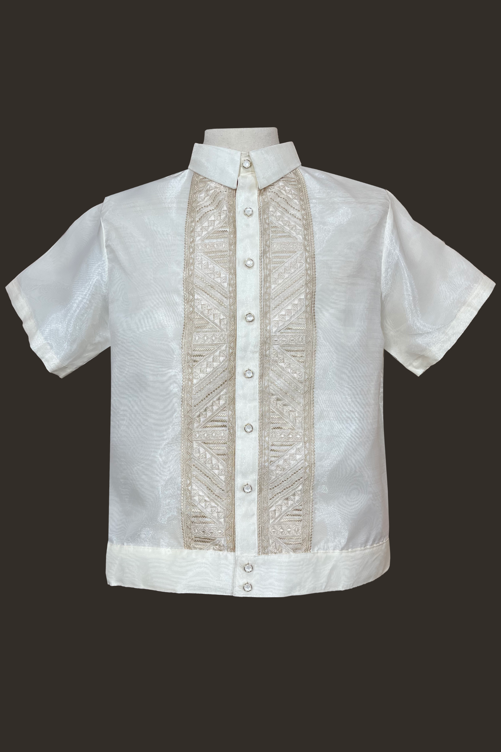 Premium Organza with Linear Panel Embroidery Short Sleeved Barong Tagalog Conrado